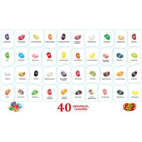 Jelly Belly 40 Flavors Jelly Beans Sampler: 17-Ounce Gift Box - Candy Warehouse