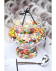 Jelly Belly 49 Flavors Jelly Beans: 10LB Case