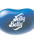 Jelly Belly Blueberry: 10LB Case