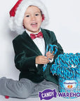 Jelly Belly Candy Canes - Blueberry: 80-Piece Bucket
