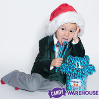Jelly Belly Candy Canes - Blueberry: 80-Piece Bucket - Candy Warehouse