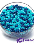 Jelly Belly Color Combo - Blue Blend: 4LB Box