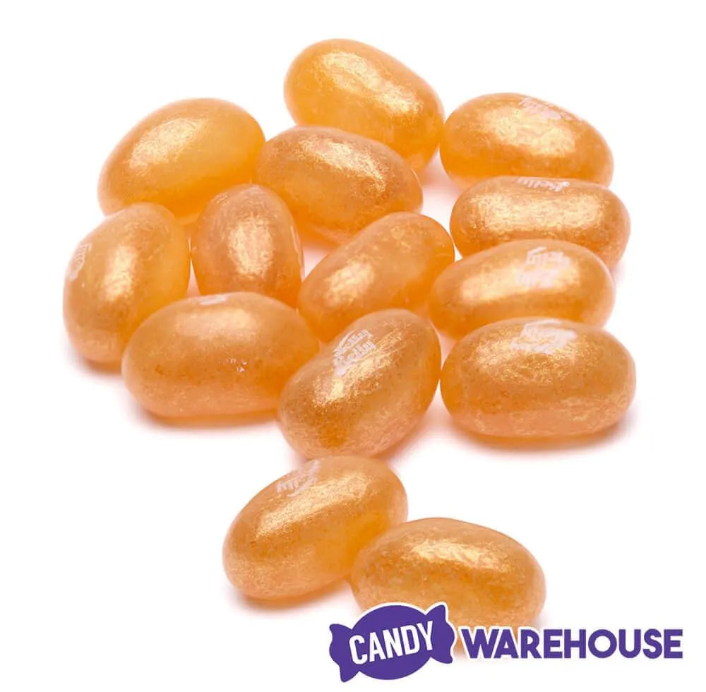 Jelly Belly Draft Beer Can Tin 12Piece Box Candy Warehouse