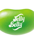 Jelly Belly Kiwi: 10LB Case