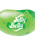 Jelly Belly Margarita: 10LB Case