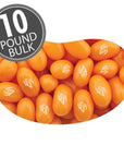 Jelly Belly Pumpkin Pie Jelly Beans: 10LB Case