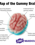Jelly Filled Gummy Brains: 1KG Bag