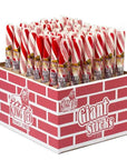 King Leo Jumbo Peppermint Candy Sticks: 48-Piece Display