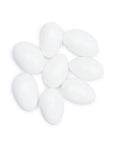 Koppers Chocolate Jordan Almonds - White: 5LB Bag