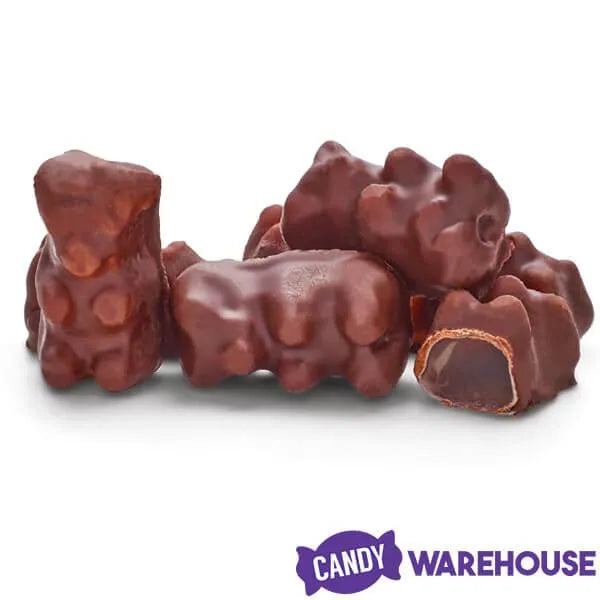 Koppers Milk Chocolate Covered Gummi Bears: 8-Pound Bag – Candy