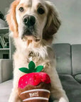 Lulubelle's Power Chocolate Strawberry: Large