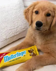 Lulubelle's Power Plush Mutterfinger Dog Toy