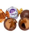 Madelaine Duets Peanut Butter & Caramel Filled Chocolate Truffles: 48-Piece Box