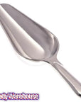 Metal 2-Ounce Candy Scoop