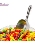 Metal 5-Ounce Candy Scoop