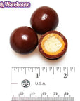 Milk Chocolate Peanut Butter Malt Balls: 2LB Bag