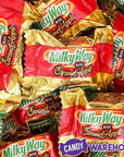 Milky Way Caramel Apple Minis Candy: 11.5-Ounce Bag