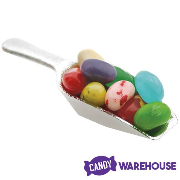 Silver Plastic Candy Scoop