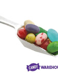 Mini Plastic Candy Scoop