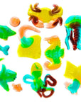 Ocean Shapes Gummy Candy 4-Packs: 18-Piece Box
