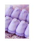 Peeps Marshmallow Chicks Candy - Lavender: 24-Piece Case
