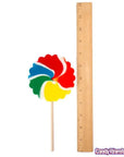 Psychedelic Swirl 3.5-Inch Lollipops - Primary Colors: 12-Piece Box