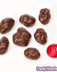 Raisinets Milk Chocolate Raisins Candy 3.1-Ounce Packs: 15-Piece Box