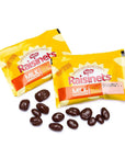 Raisinets Milk Chocolate Raisins Candy Fun Size Packs: 15-Piece Bag