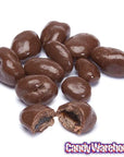 Raisinets Milk Chocolate Raisins Candy Fun Size Packs: 15-Piece Bag