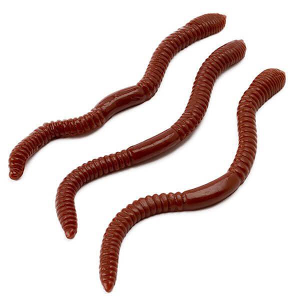 Realistic Gummy Earthworms Candy: 30-Piece Bag