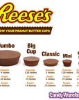 Reese's Peanut Butter Cups Candy King Size Packs: 24-Piece Box