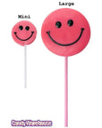 Squire Boone Teeny Smiley Face Lollipops: 48-Piece Box