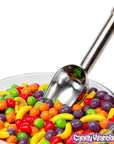 Stainless Steel 2-Ounce Candy Scoop