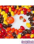 Sunbursts Chocolate Sunflower Seeds - Autumn Colors Assortment: 1LB Bag