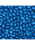 Sunbursts Chocolate Sunflower Seeds - Blue: 1LB Bag
