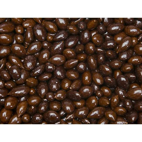 Chocolate ページ Sunbursts Chocolate Sunflower Seeds - Brown: 1LB Bag – Candy