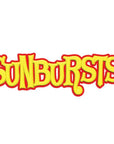 Sunbursts Chocolate Sunflower Seeds - USA Colors Assortment: 1LB Bag