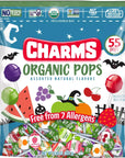 Charms Organic Halloween Lollipops: 55-Piece Bag