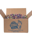 Dubble Bubble Gum - 3 Flavors: 1800-Piece Case