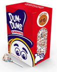 Dum Dums Pops - Root Beer: 50-Piece Box