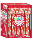 YumEarth Organic Christmas Peppermint Candy Canes: 10-Piece Box - Candy Warehouse