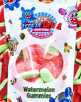 Freeze Dried Watermelon Gummies Candy - Candy Warehouse