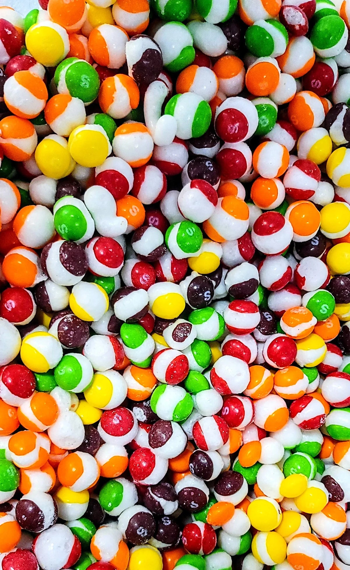 Shell Branded Candy Freeze Dried Original Shell Shocks 2oz | Candy Warehouse – Candy Warehouse