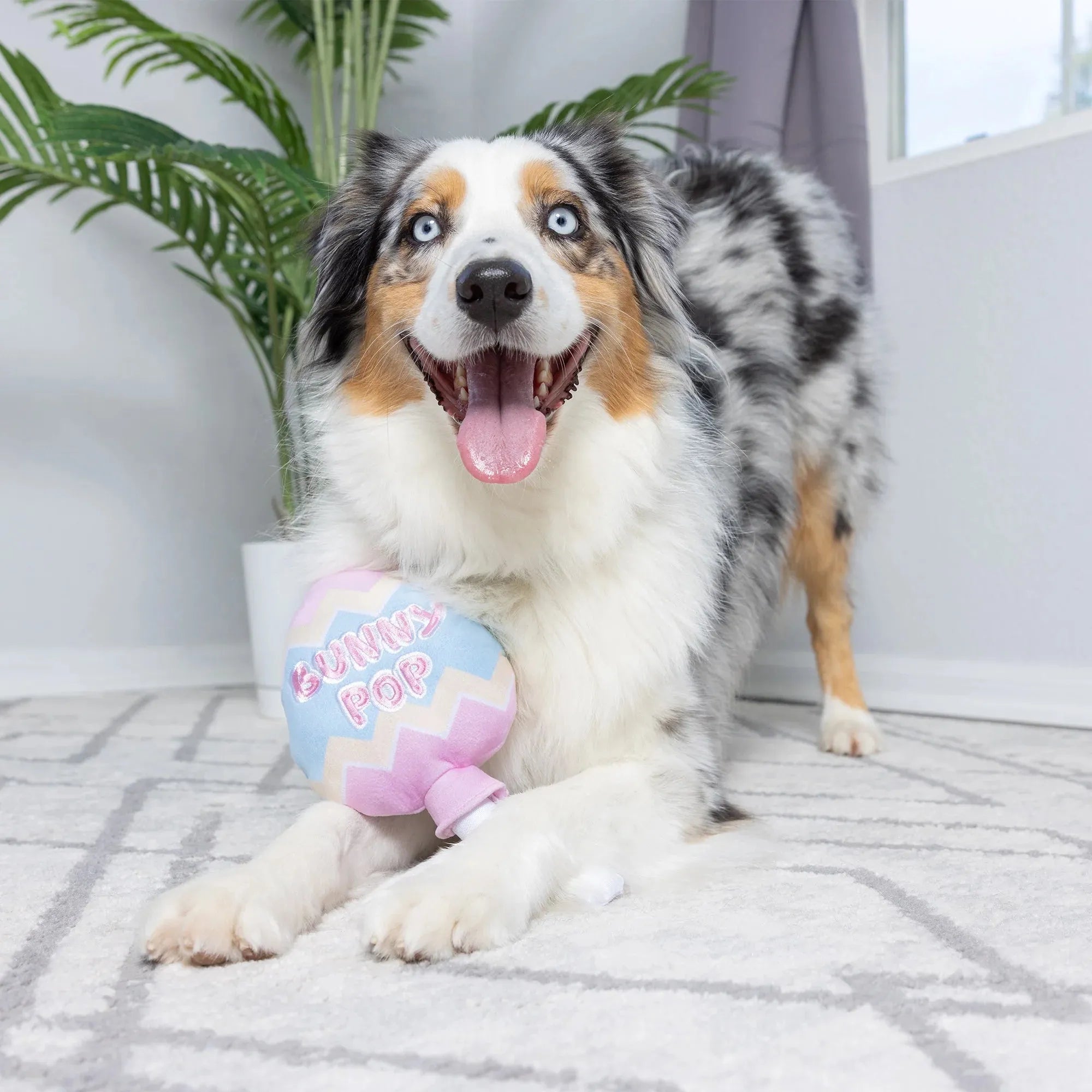 Lulubelle's Power Plush Bunny Pop Dog Toy: Small – Candy Warehouse