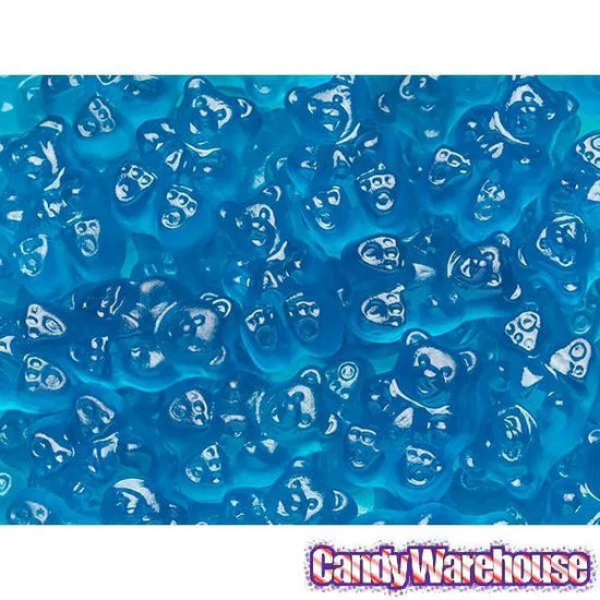 Albanese Blue Raspberry Gummy Bears 5LB Bag Candy Warehouse