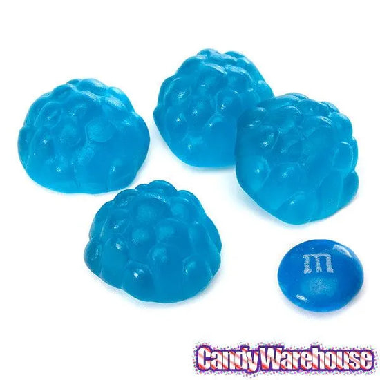 Albanese Blue Raspberry Gummy Berries Candy 5LB Bag Candy Warehouse
