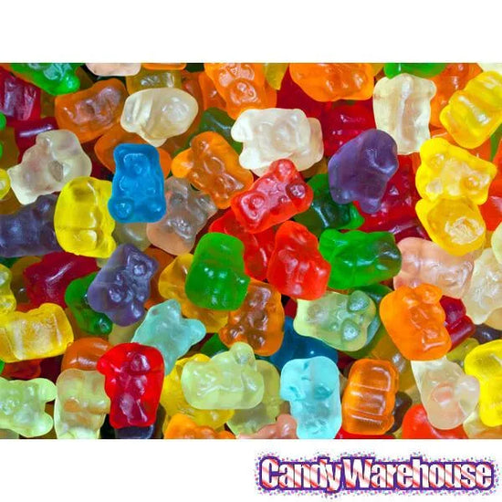 Albanese Cubs 12Flavors Baby Gummy Bears 5LB Bag Candy Warehouse