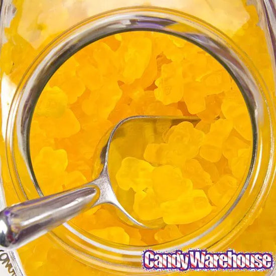 Albanese Mango Gummy Bears 5LB Bag Candy Warehouse