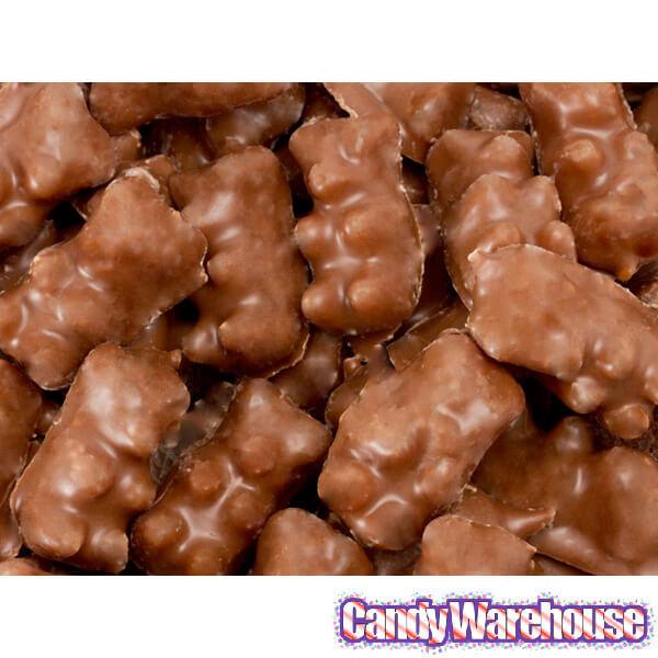 Albanese Milk Chocolate Covered Gummy Bears: 2.25LB Tub - Candy Warehouse