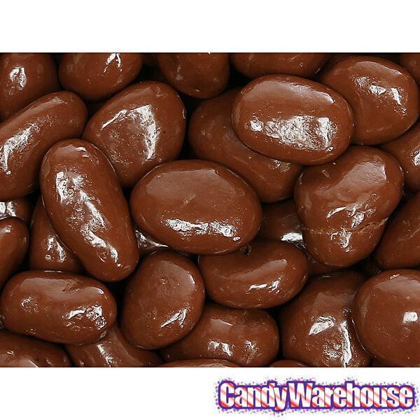 Albanese Milk Chocolate Covered Raisins Candy - Jumbo: 5LB Bag - Candy Warehouse